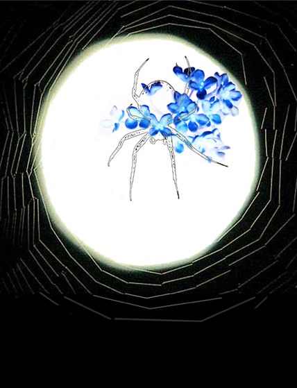Բ鿴Ʒͼ