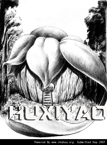 Բ鿴Ʒͼ