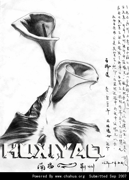 Բ鿴Ʒͼ