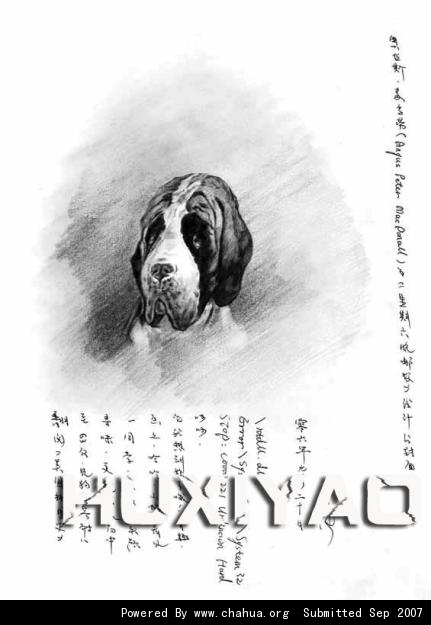 Բ鿴Ʒͼ