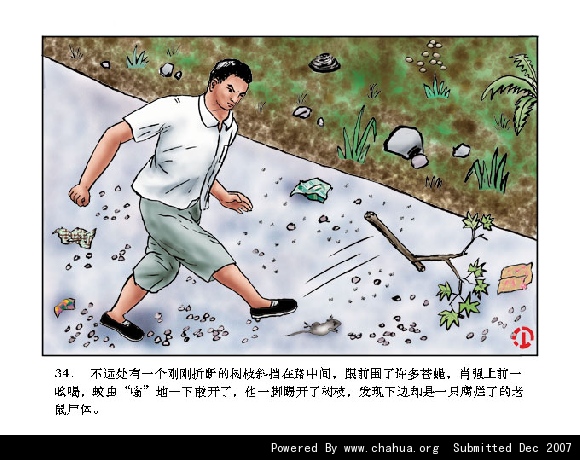 Բ鿴Ʒͼ