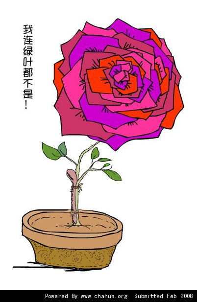 Բ鿴Ʒͼ