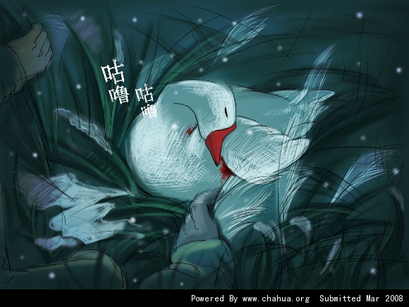 Բ鿴Ʒͼ