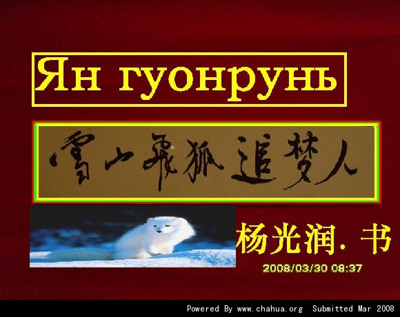 Բ鿴Ʒͼ