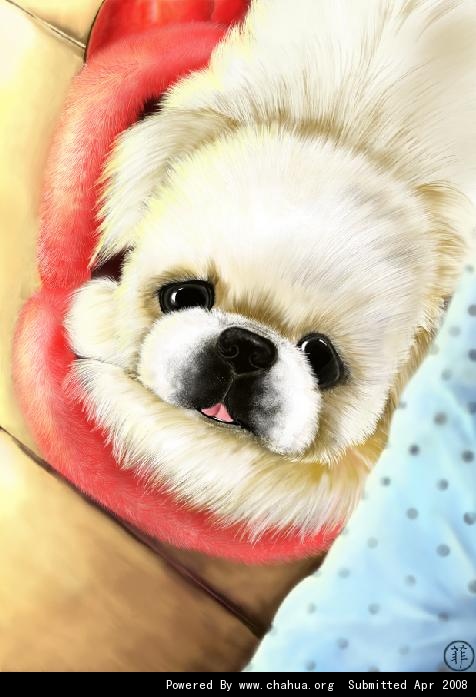 Բ鿴Ʒͼ