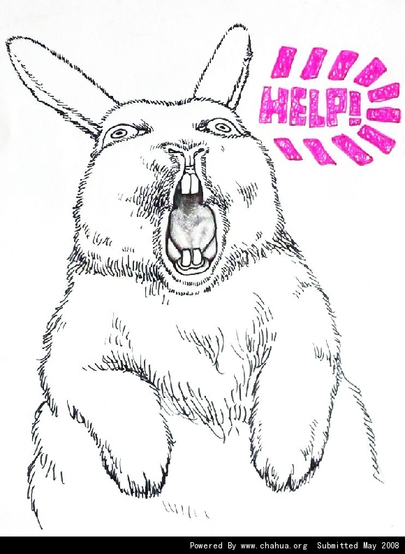 Բ鿴Ʒͼ