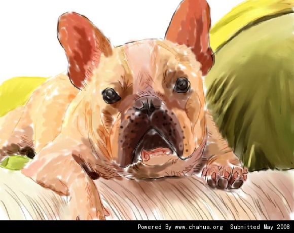 Բ鿴Ʒͼ