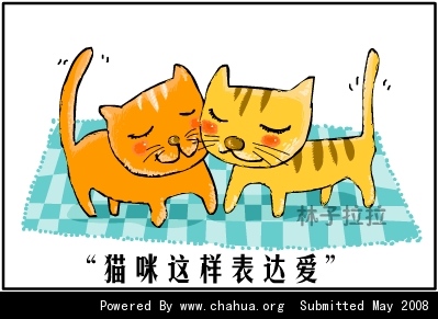 Բ鿴Ʒͼ