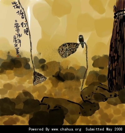Բ鿴Ʒͼ