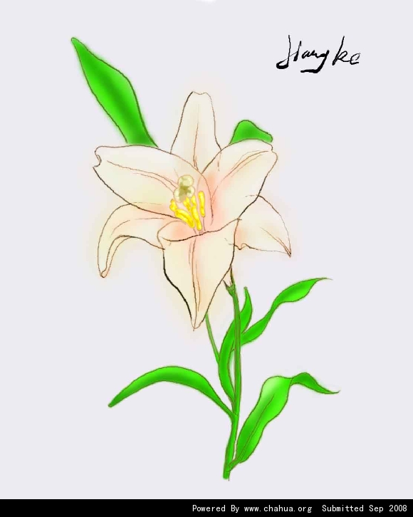 Բ鿴Ʒͼ