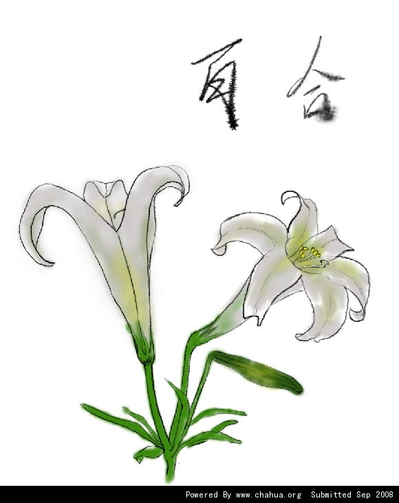 Բ鿴Ʒͼ