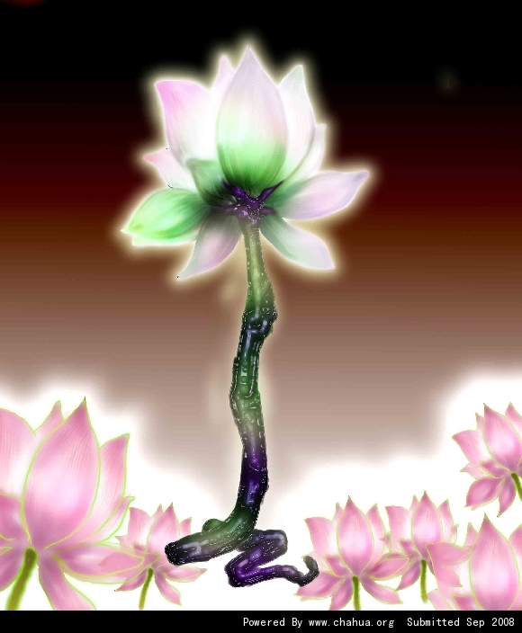 Բ鿴Ʒͼ