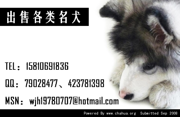 Բ鿴Ʒͼ