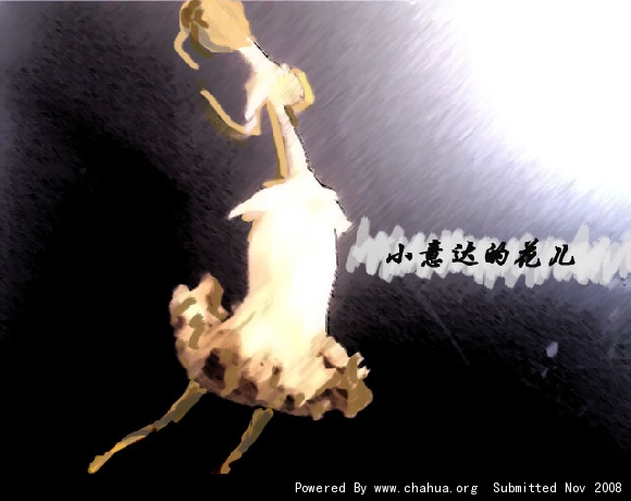 Բ鿴Ʒͼ