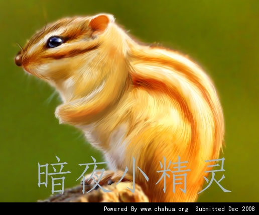 Բ鿴Ʒͼ
