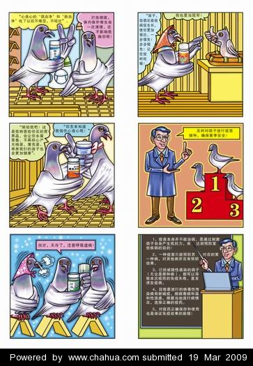 Բ鿴Ʒͼ