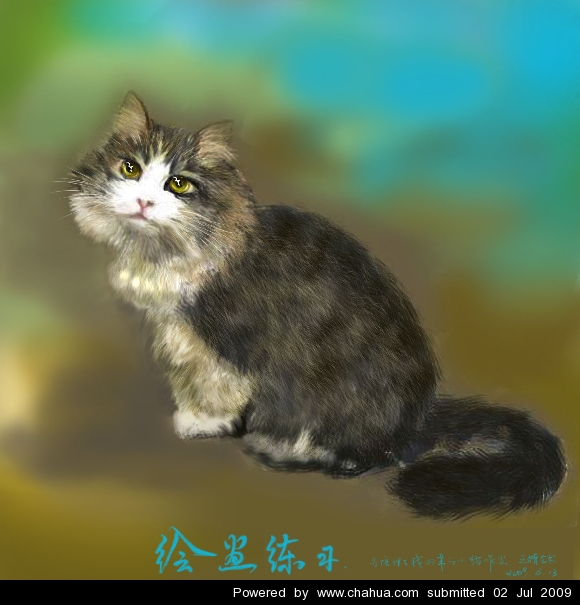 Բ鿴Ʒͼ