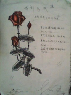 Բ鿴Ʒͼ