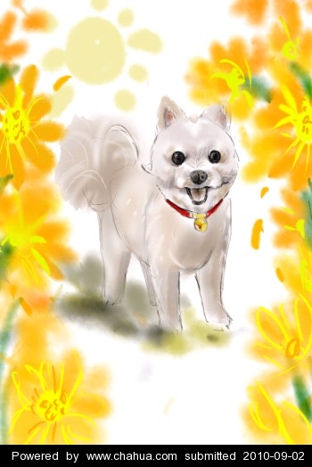 Բ鿴Ʒͼ