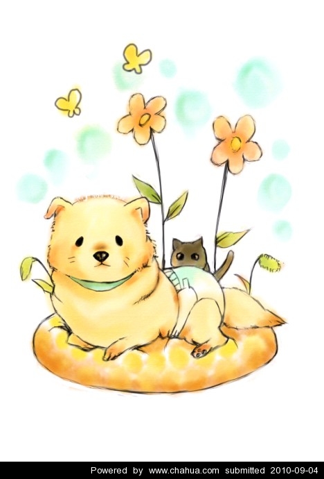 Բ鿴Ʒͼ