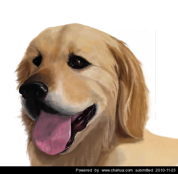 Բ鿴Ʒͼ