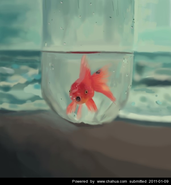 Բ鿴Ʒͼ