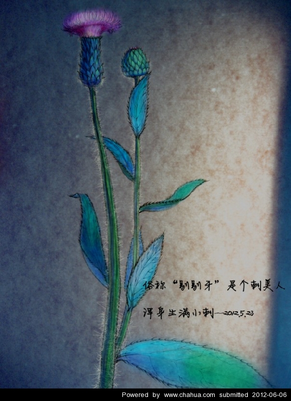 Բ鿴Ʒͼ