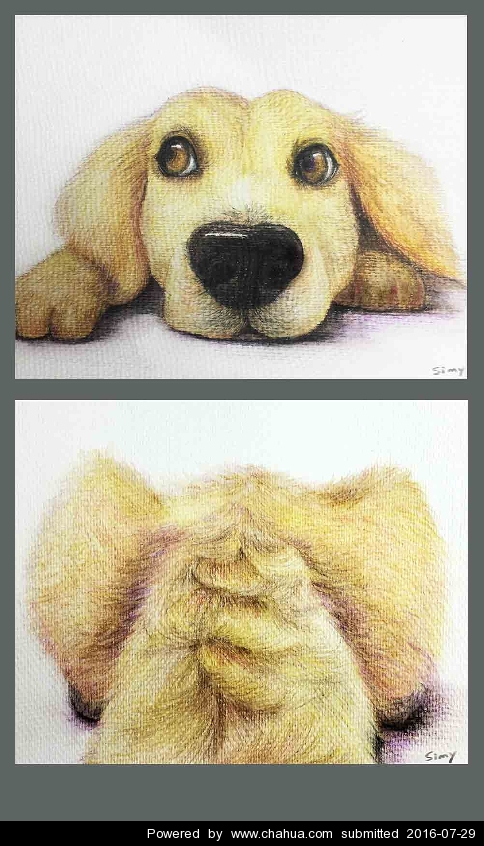 Բ鿴Ʒͼ