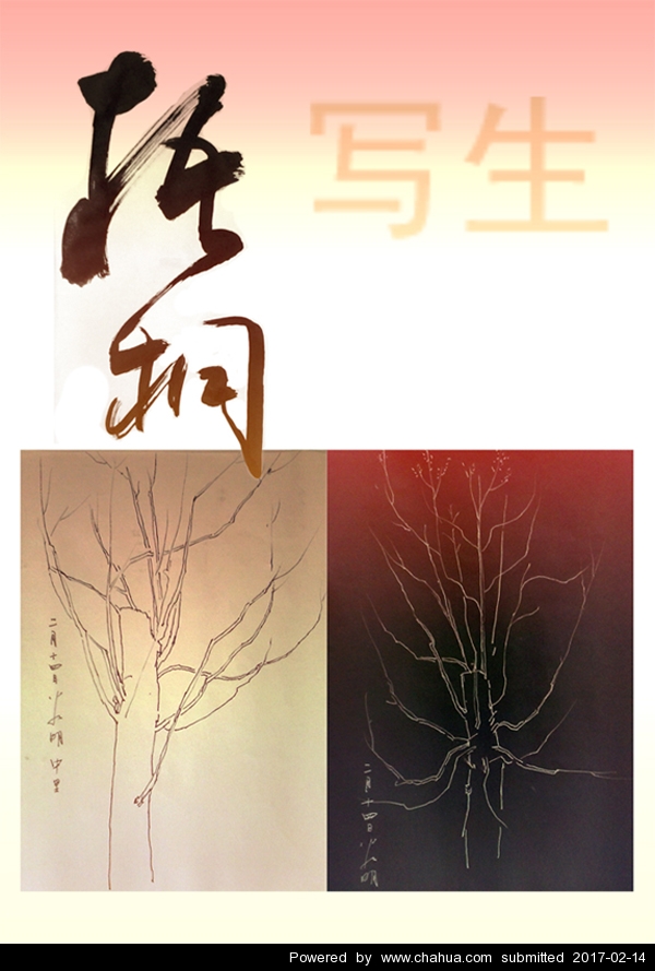 Բ鿴Ʒͼ