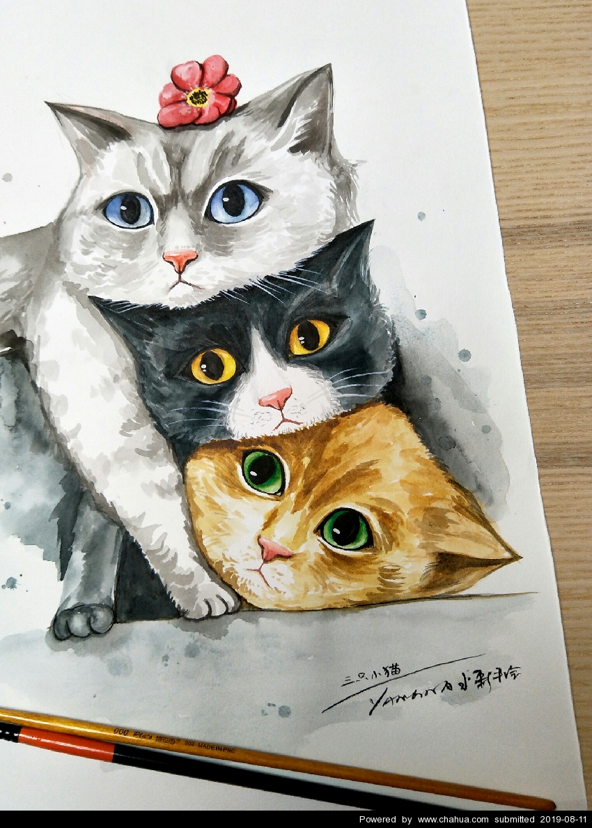 儿童插画《三只萌猫》水彩画