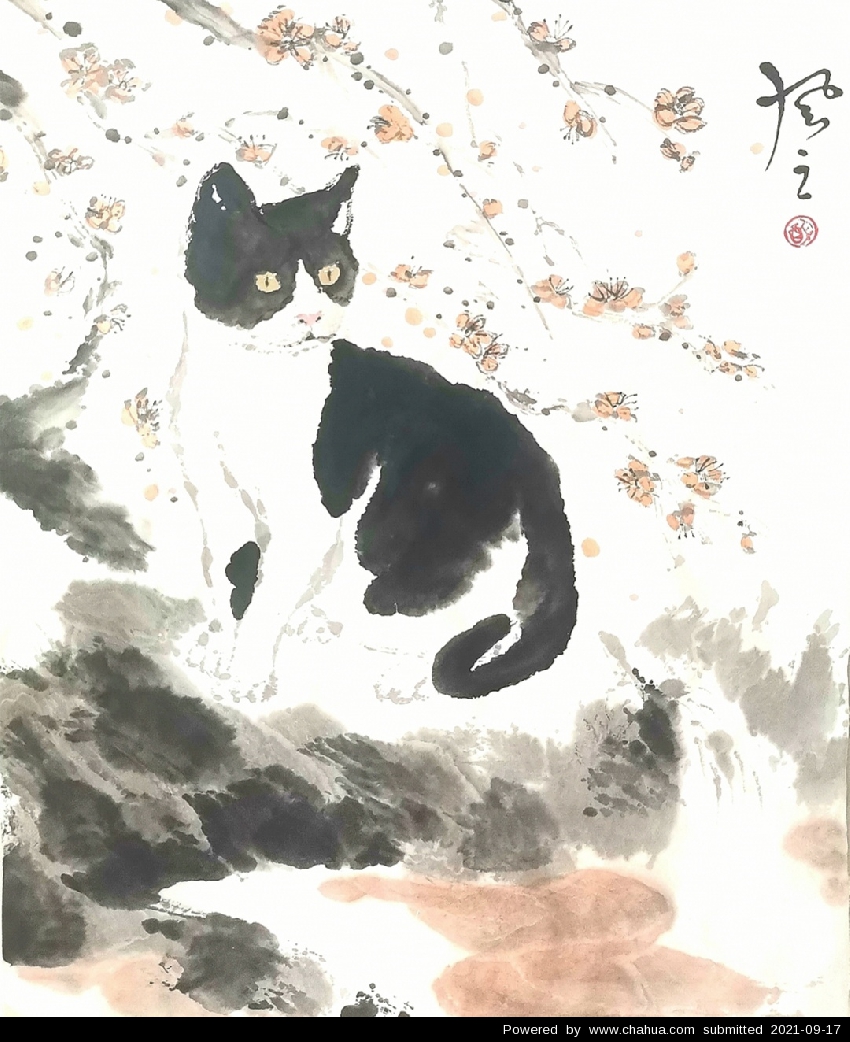 Բ鿴Ʒͼ
