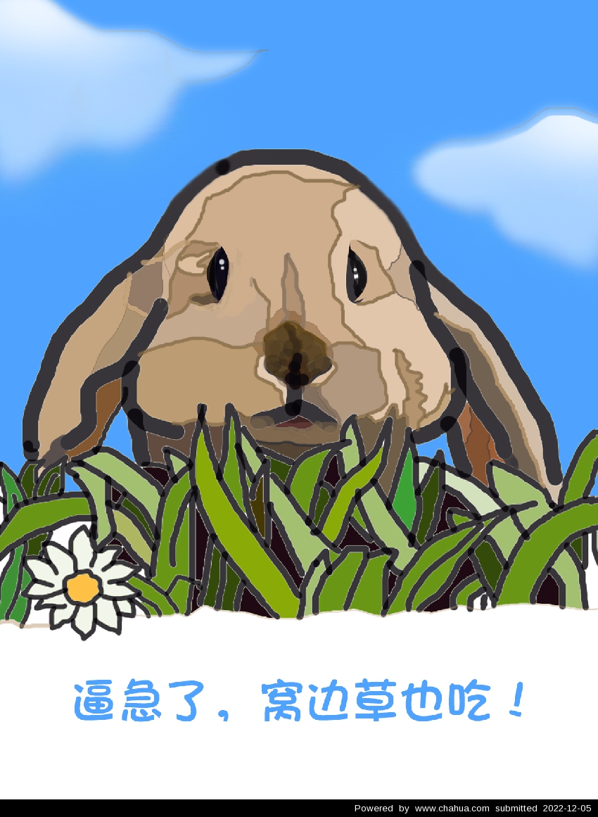Բ鿴Ʒͼ
