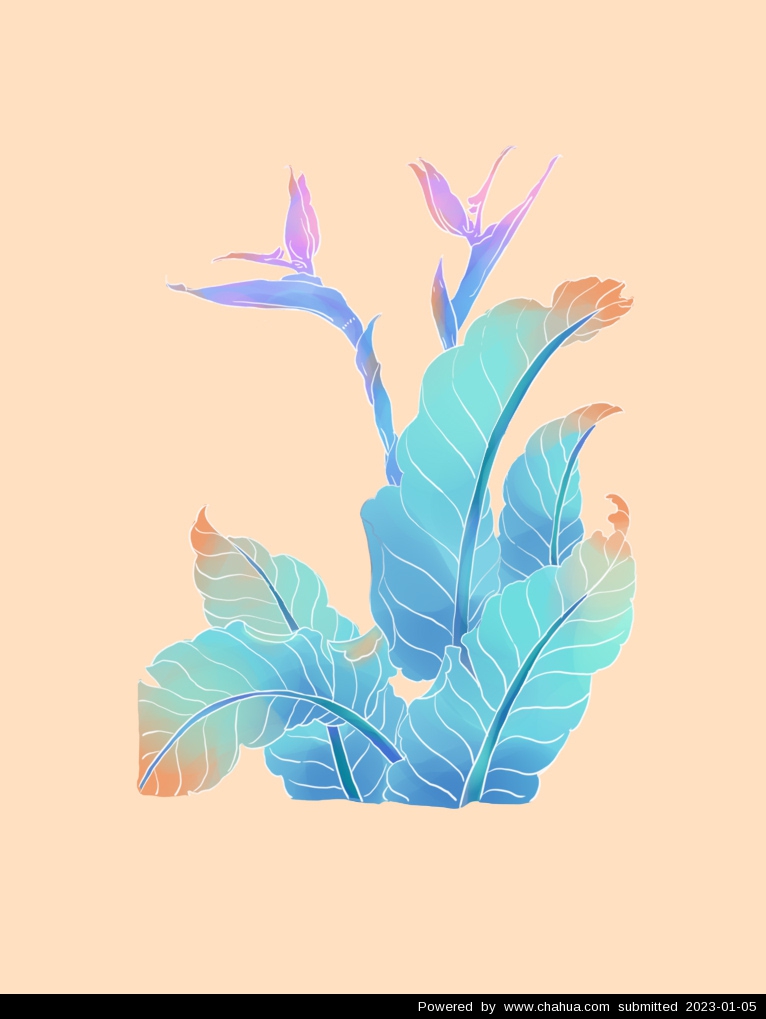 Բ鿴Ʒͼ