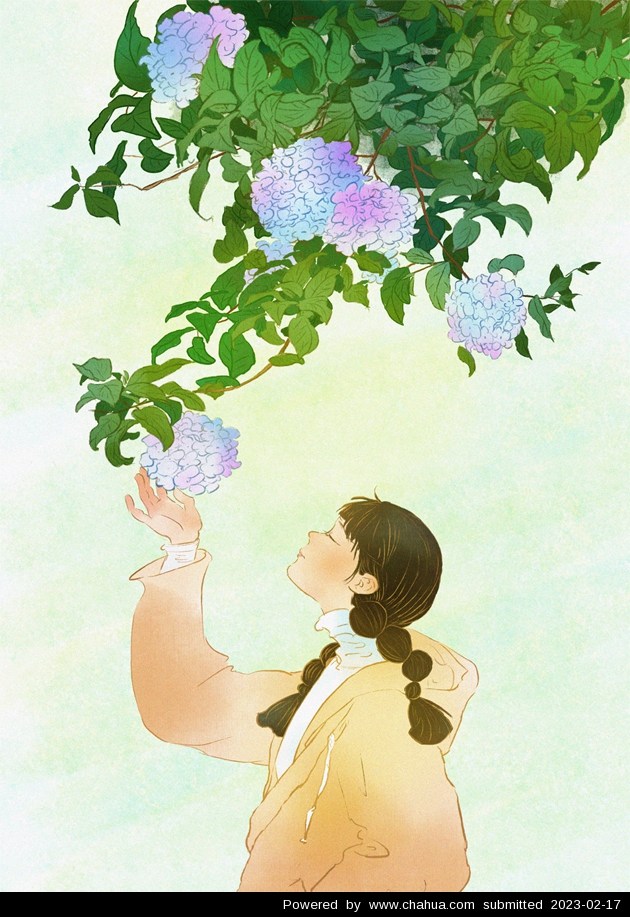 Բ鿴Ʒͼ