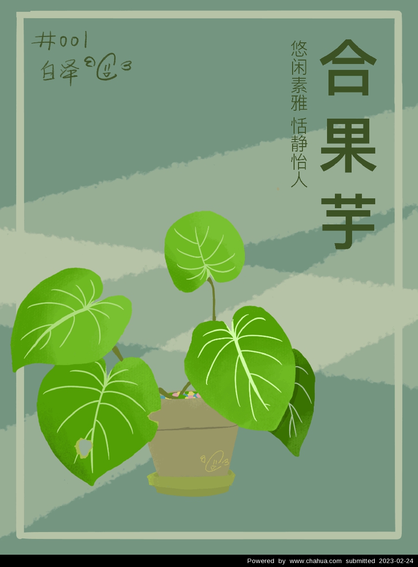 Բ鿴Ʒͼ