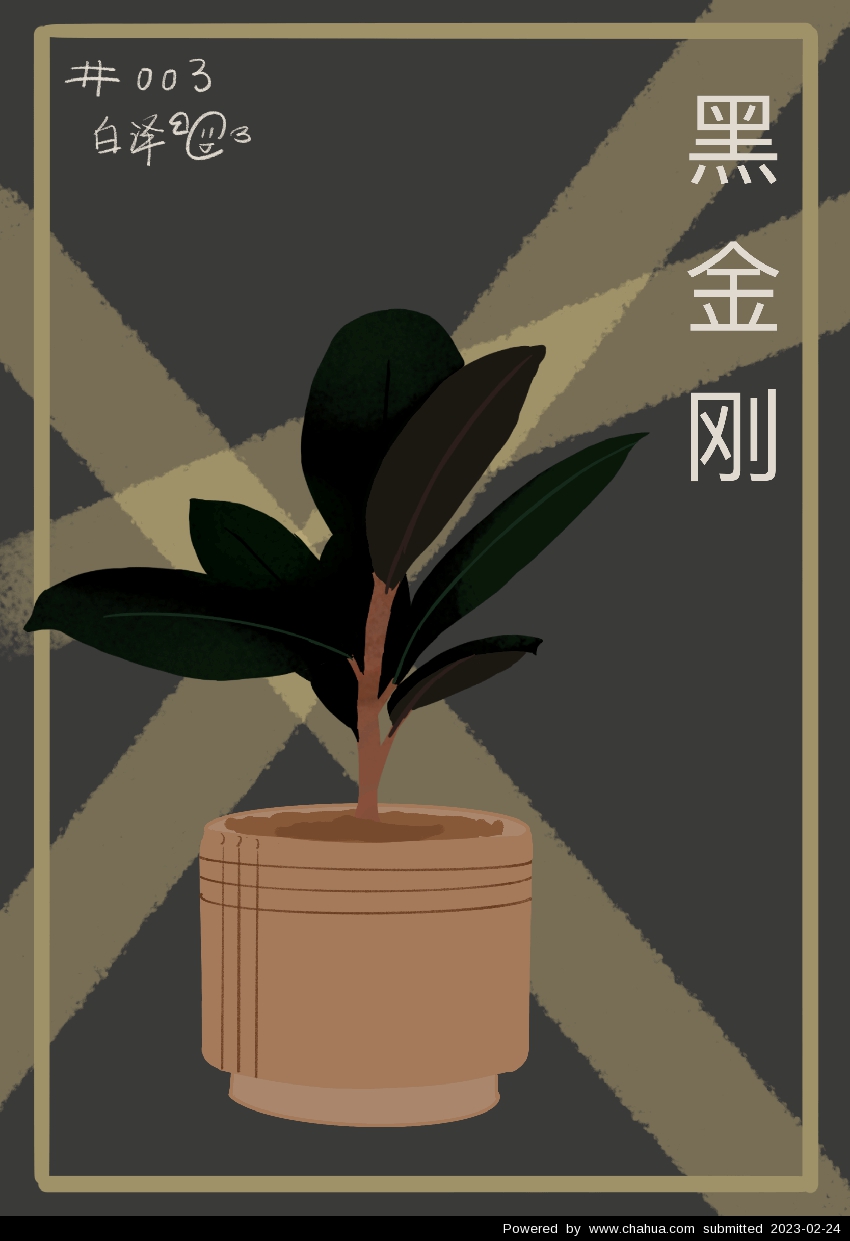 Բ鿴Ʒͼ