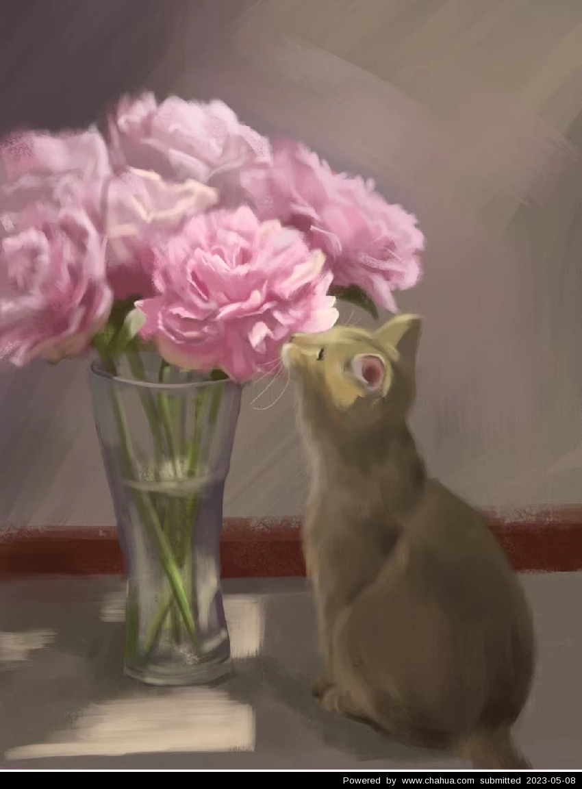 Բ鿴Ʒͼ