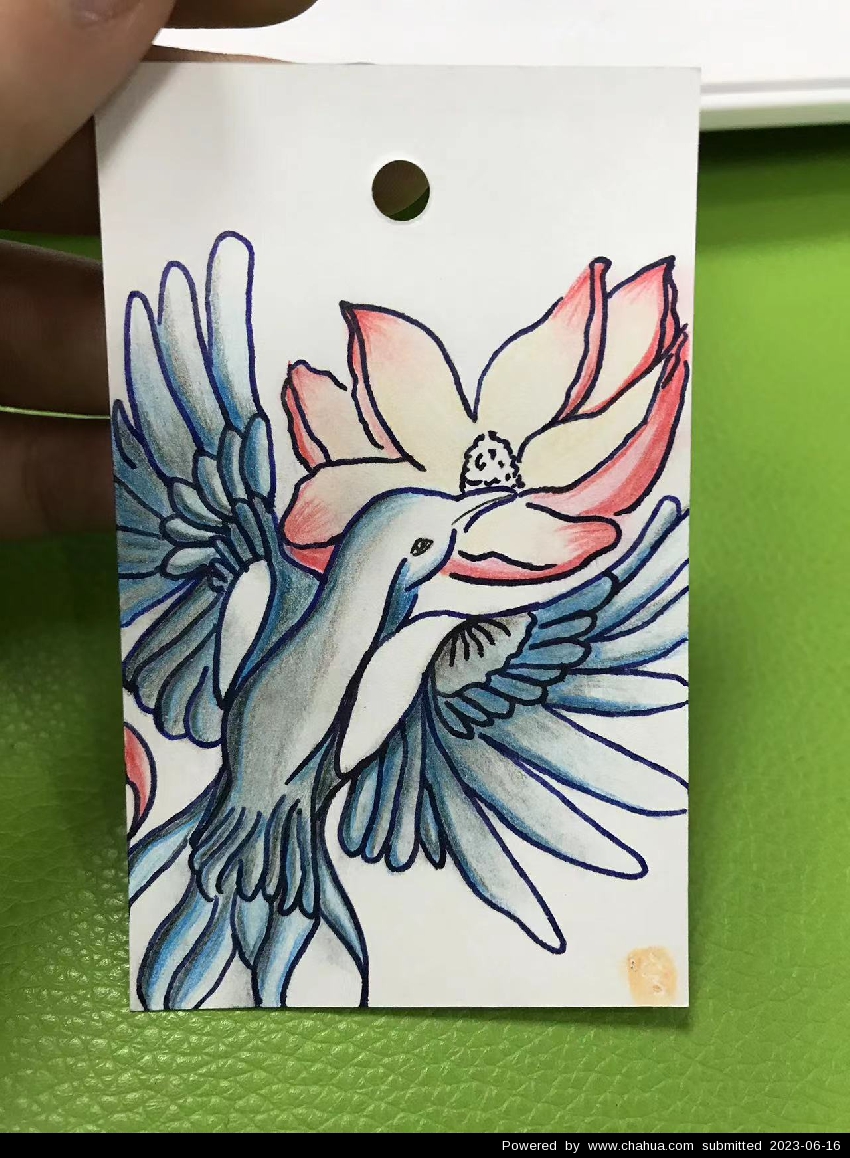 Բ鿴Ʒͼ