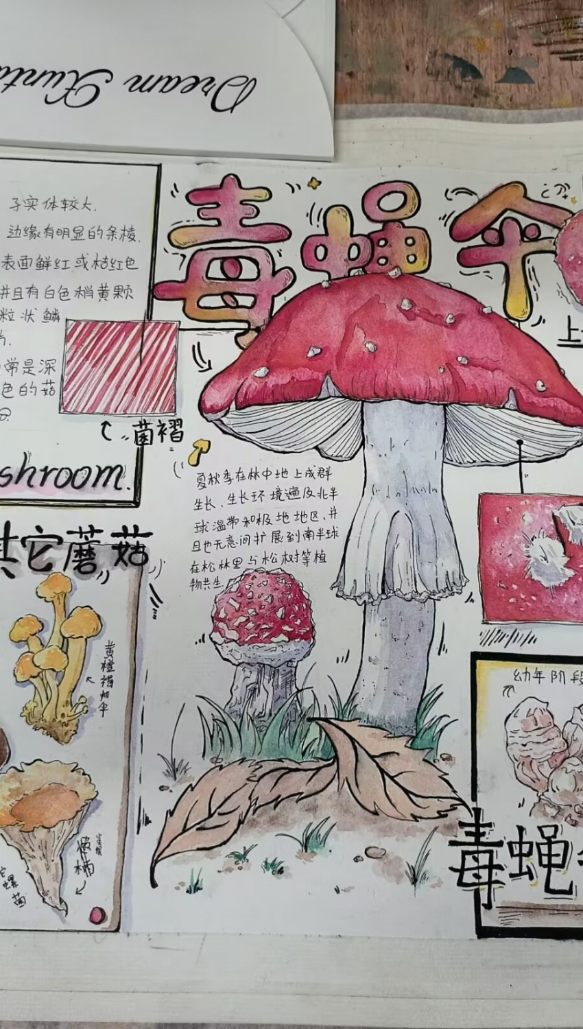 Բ鿴Ʒͼ