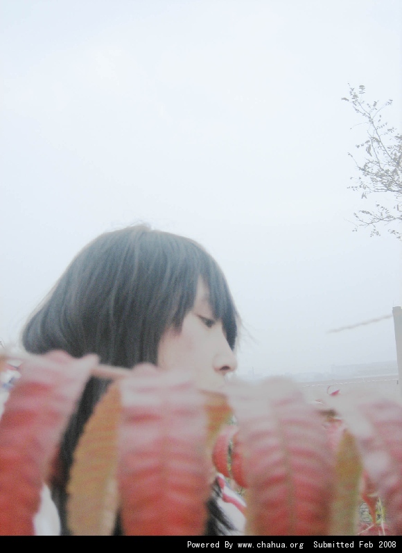 Բ鿴Ʒͼ