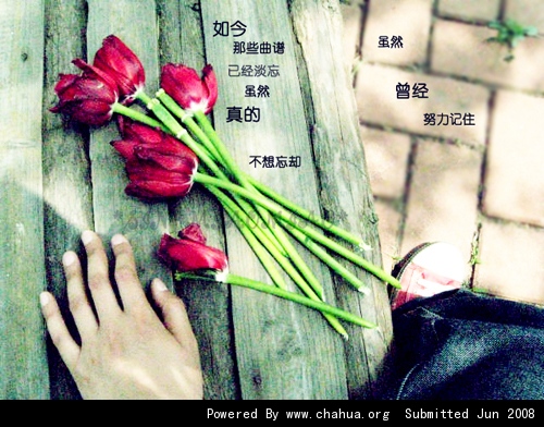 Բ鿴Ʒͼ