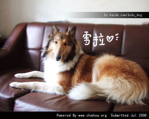 Բ鿴Ʒͼ