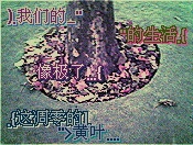 Բ鿴Ʒͼ