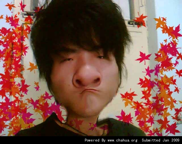 Բ鿴Ʒͼ