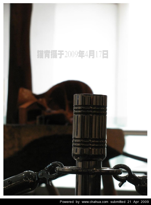 Բ鿴Ʒͼ