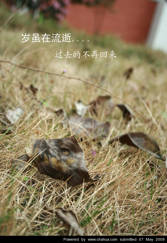 Բ鿴Ʒͼ