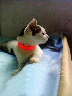 Բ鿴Ʒͼ