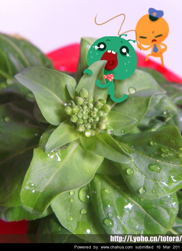 Բ鿴Ʒͼ