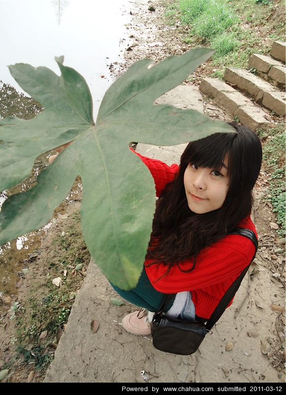 Բ鿴Ʒͼ
