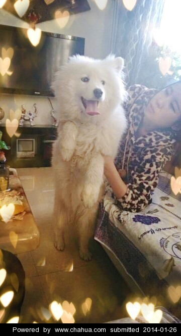 Բ鿴Ʒͼ